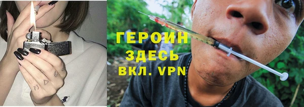 индика Ленск