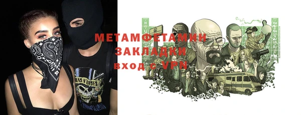 прущие грибы Ленинск