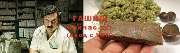 молекула духа Ладушкин