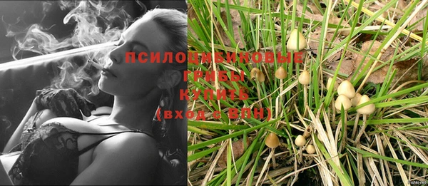 молекула духа Ладушкин
