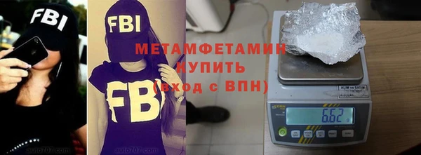 молекула духа Ладушкин