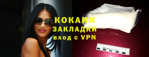 молекула духа Ладушкин