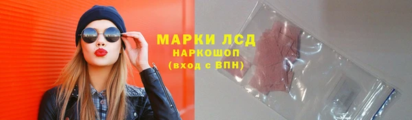 индика Ленск
