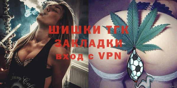 молекула духа Ладушкин