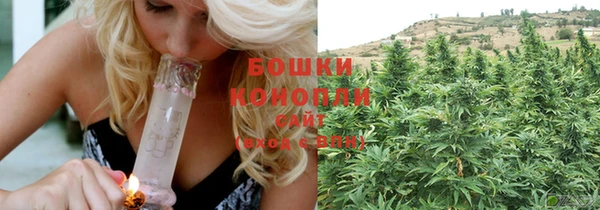 индика Ленск