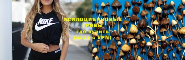 молекула духа Ладушкин