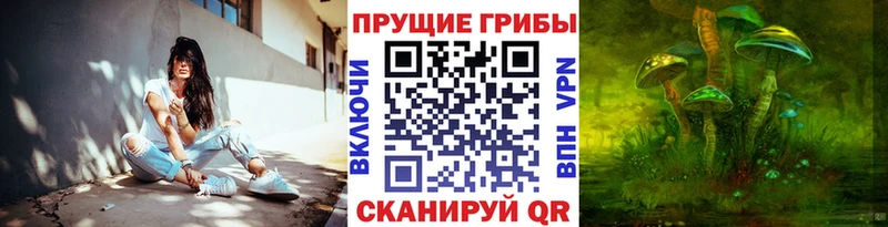 Псилоцибиновые грибы прущие грибы  наркошоп  Мезень 